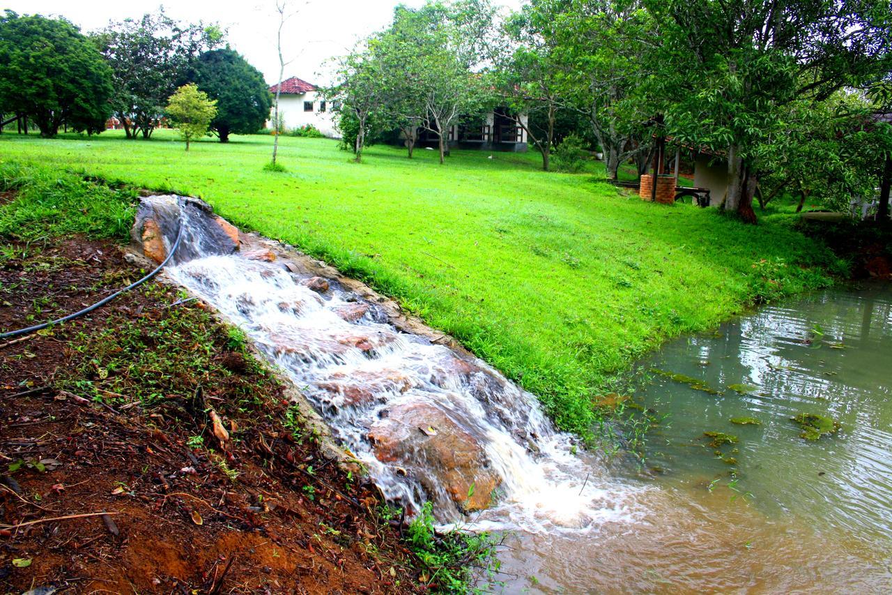 Rio Novo Hotel Fazenda Canario Da Terra מראה חיצוני תמונה