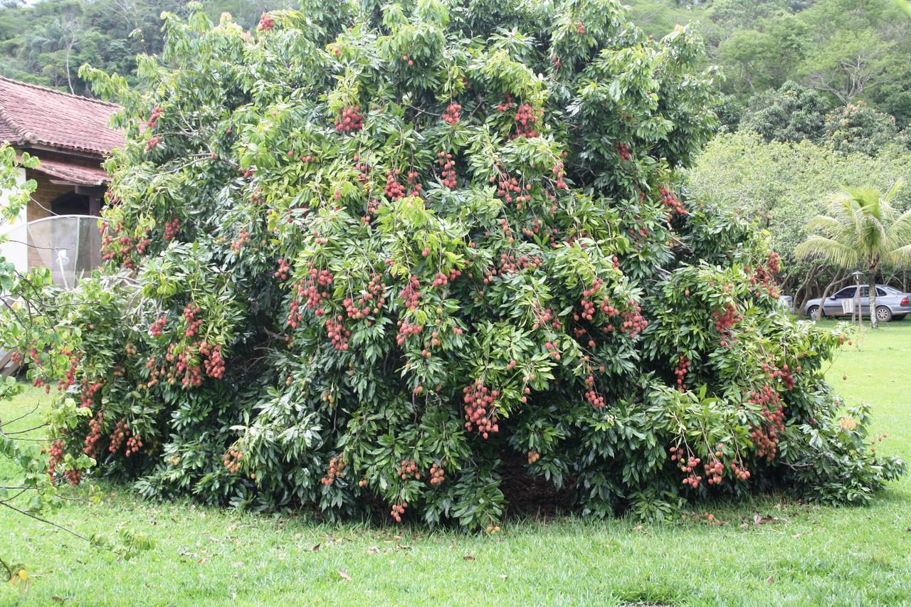 Rio Novo Hotel Fazenda Canario Da Terra מראה חיצוני תמונה